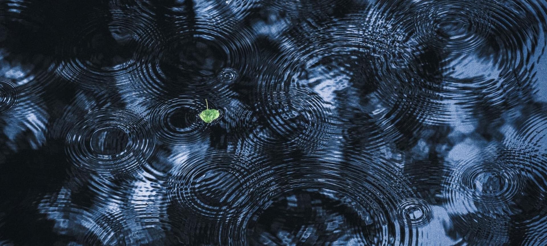 Water rippling from rain