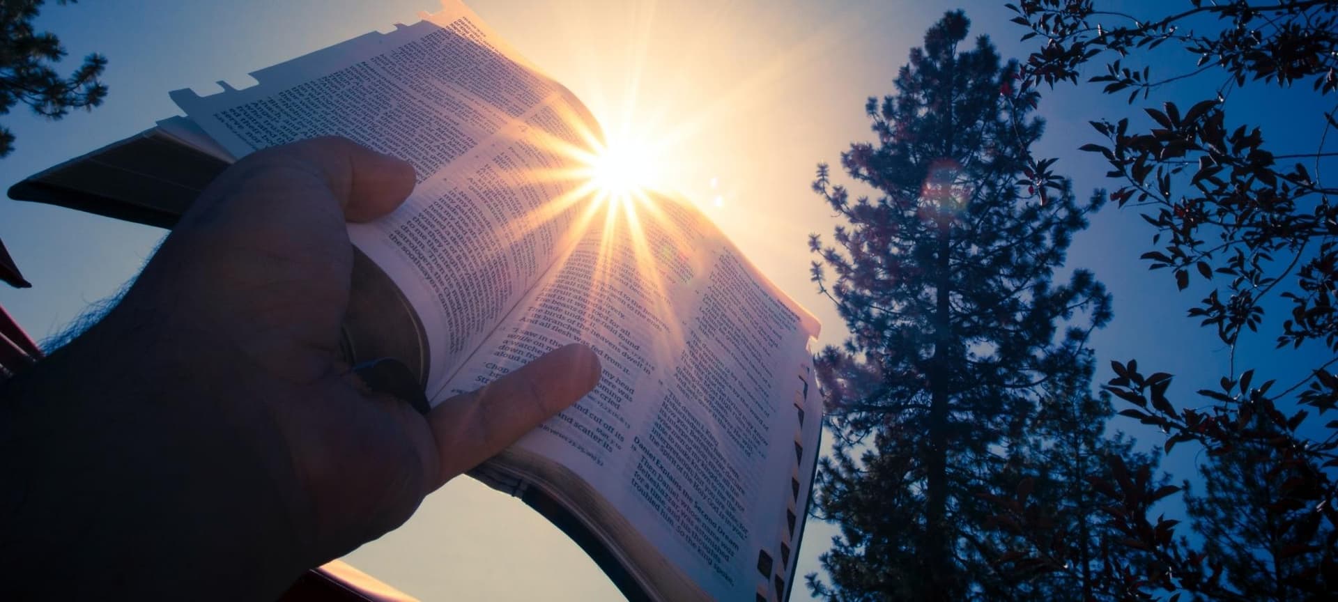 Hand raised holding open bible to the sun
