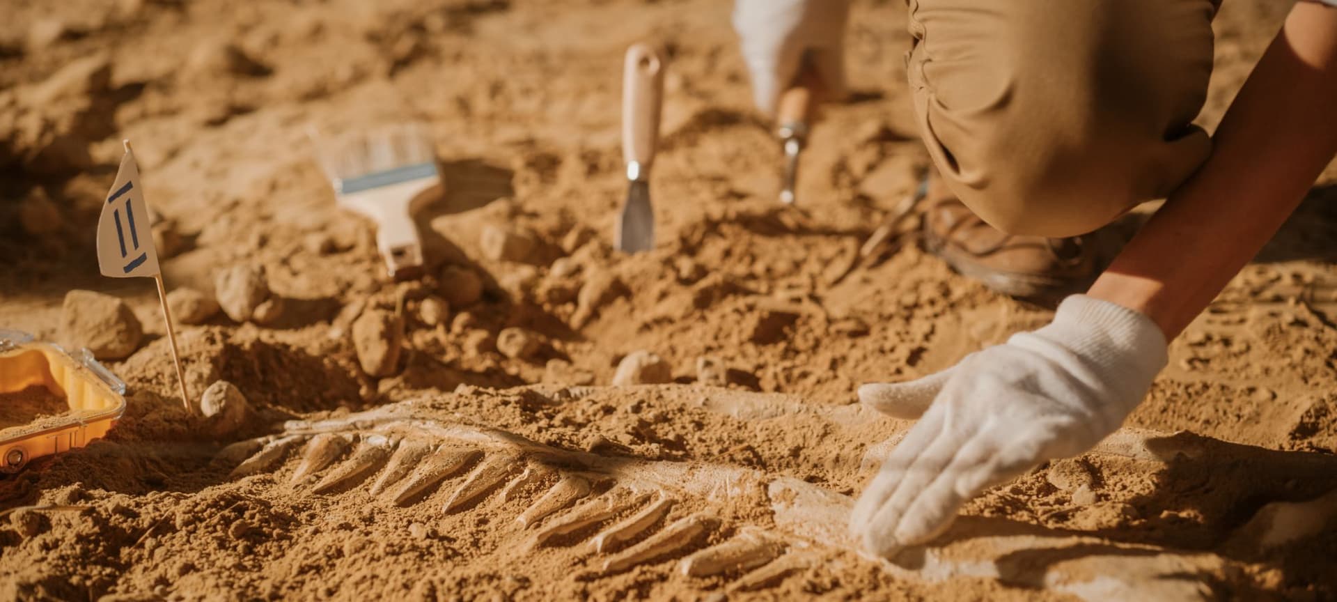 Paleontologist uncovering a dinosaur fossil