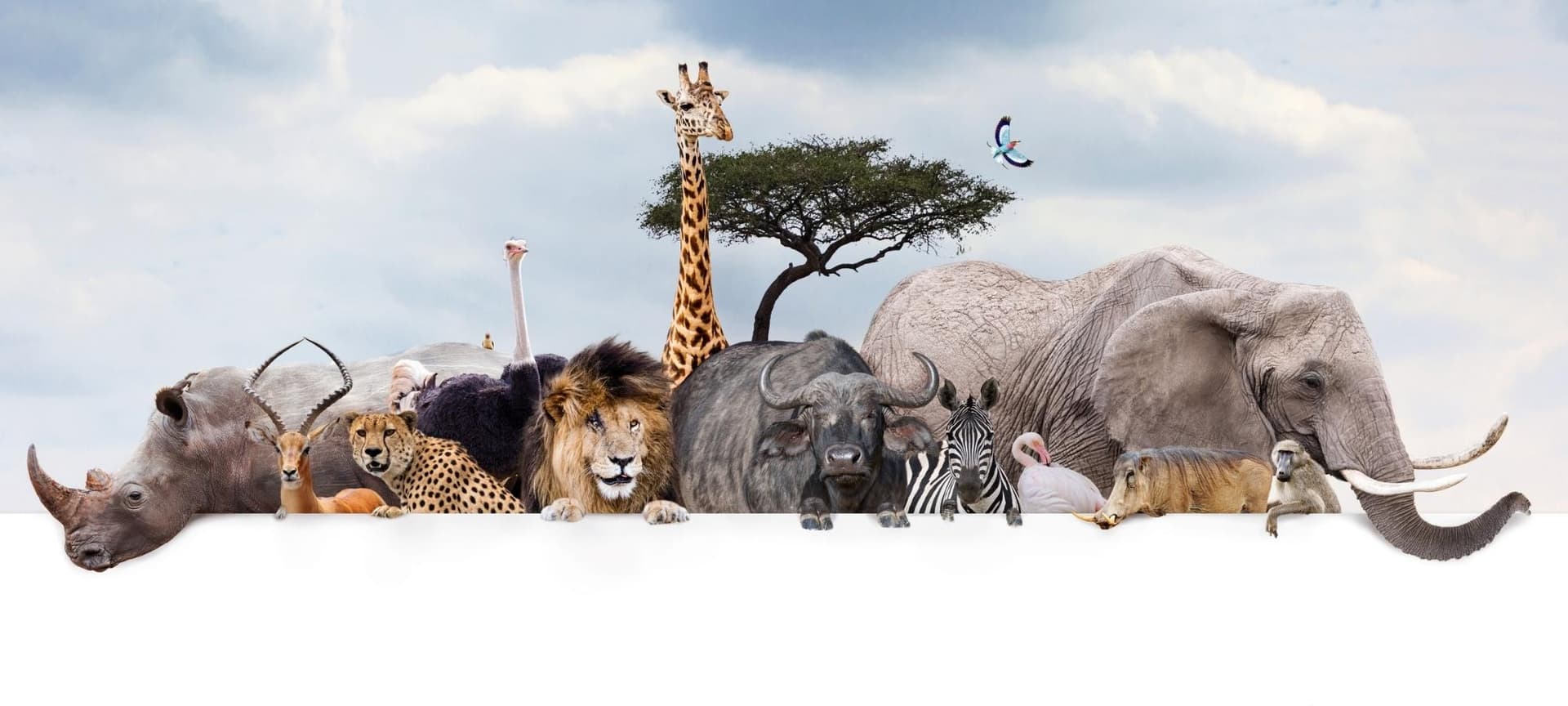 diverse assortment of animals standing in front of a tree