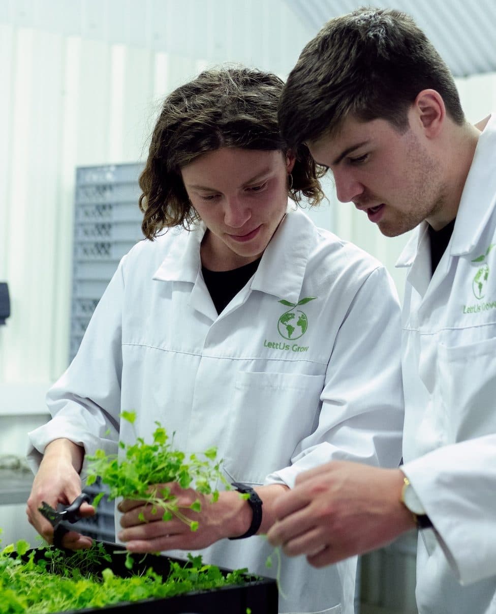 two scientists studying some growing sprouts