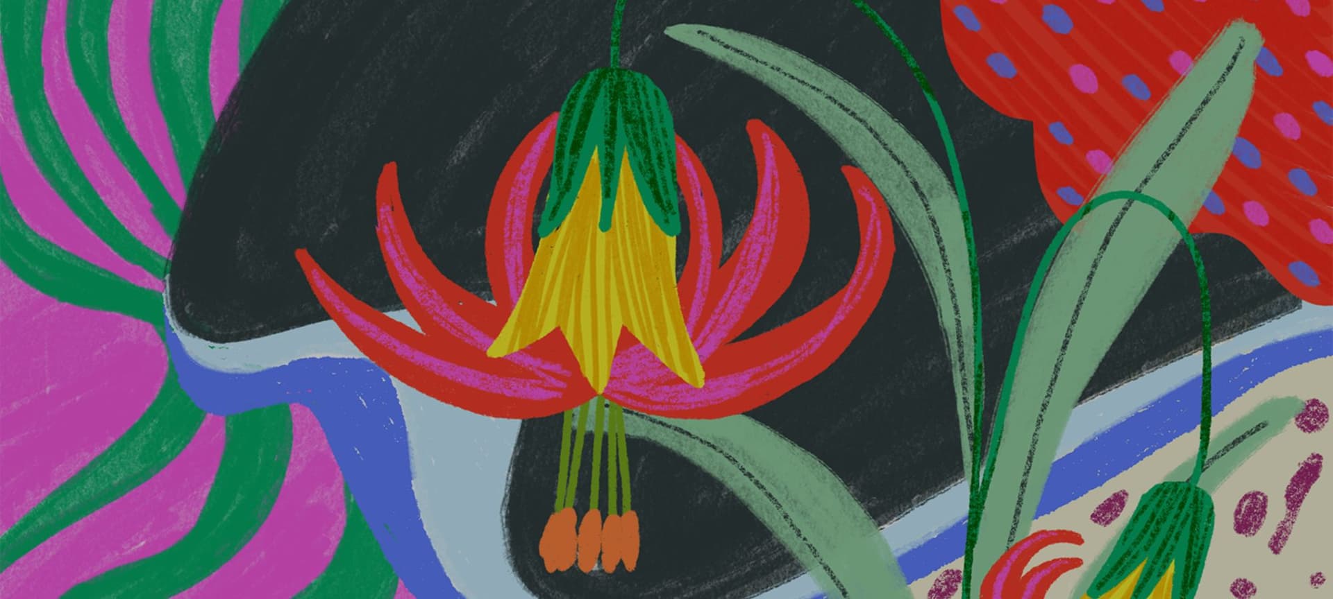 Digital Illustration of colorful flowers