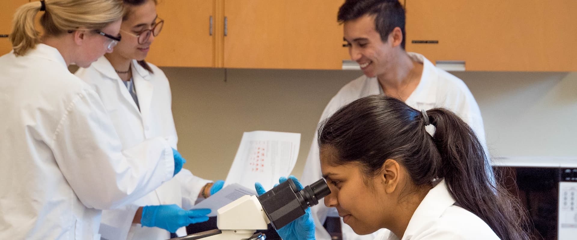 four scientists collaborating on a project