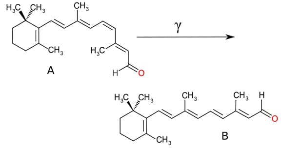 How light alters chemical shape of retinal molecule