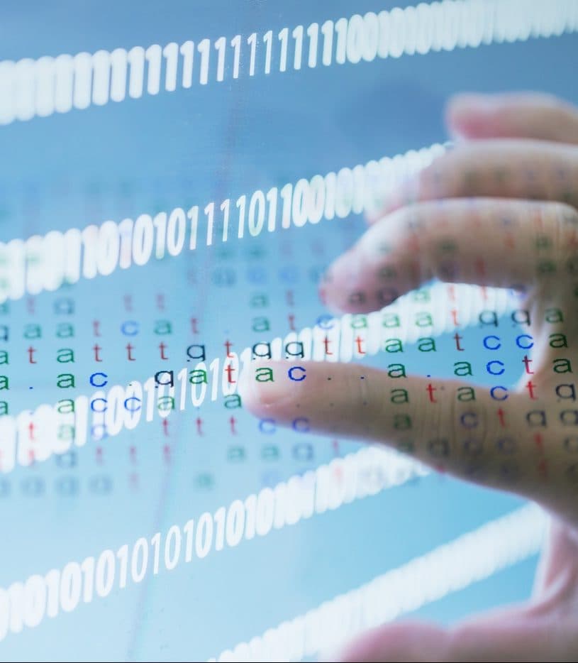 DNA information
