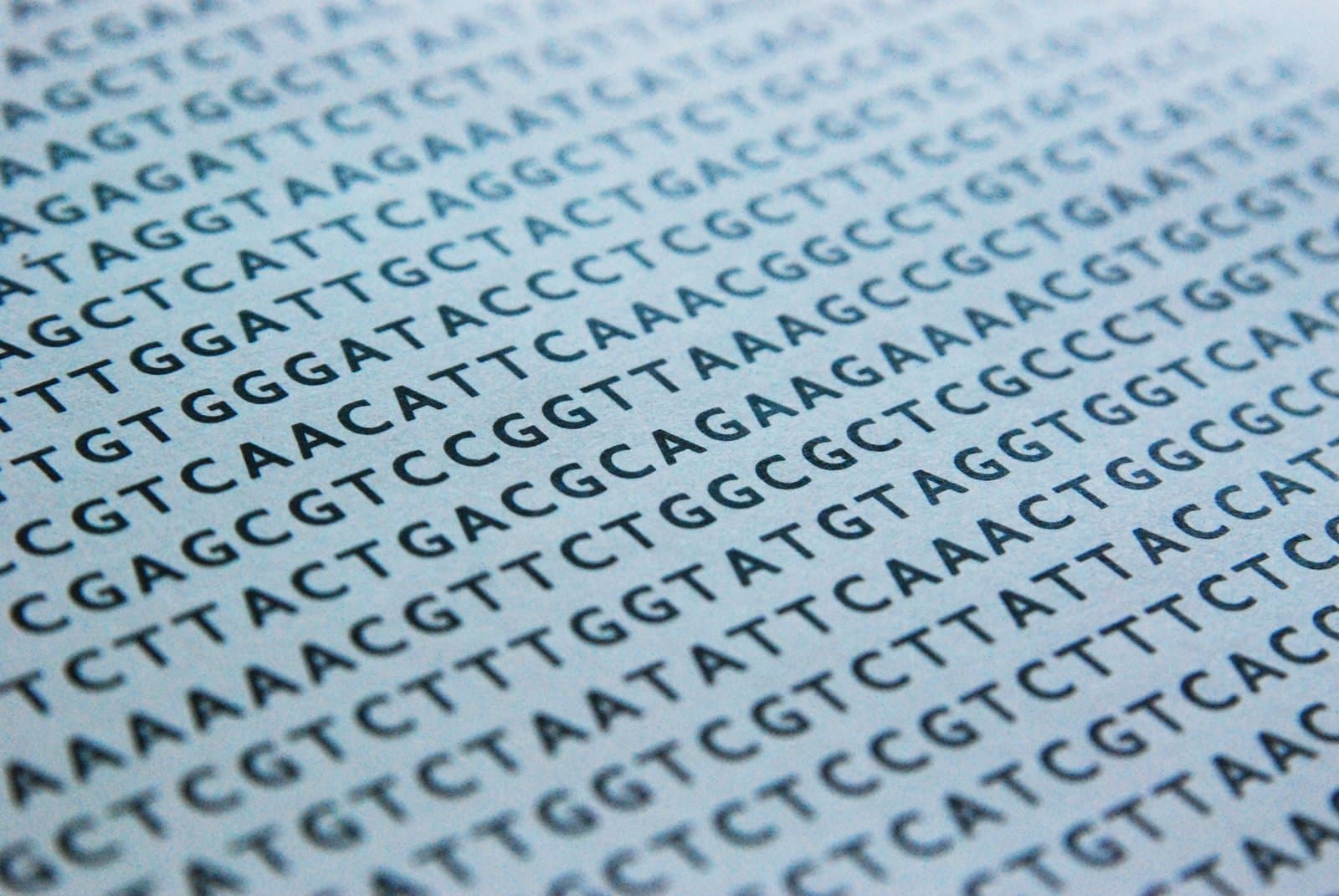 DNA sequence
