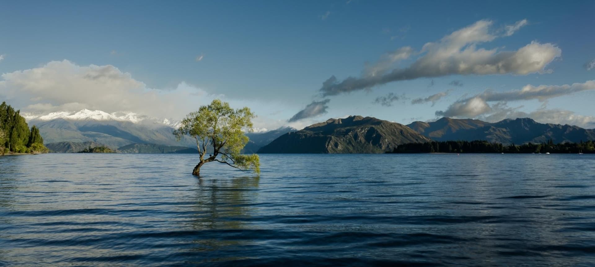 A tree mostly submerged by a flood of water cover land, surrounded by tall mountains