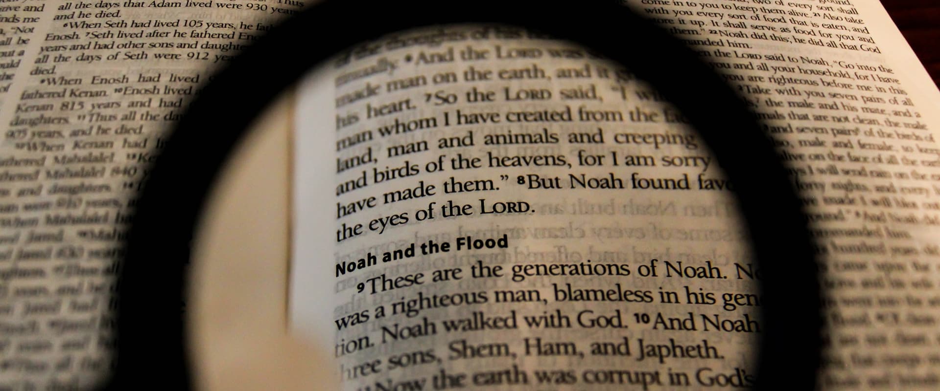 Noah and the Flood