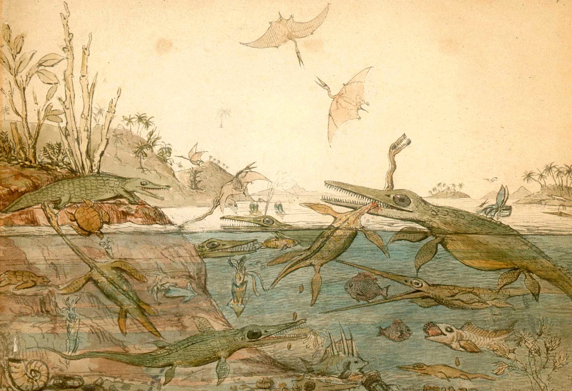 watercolor painting of many prehistoric creatures in water and the sky