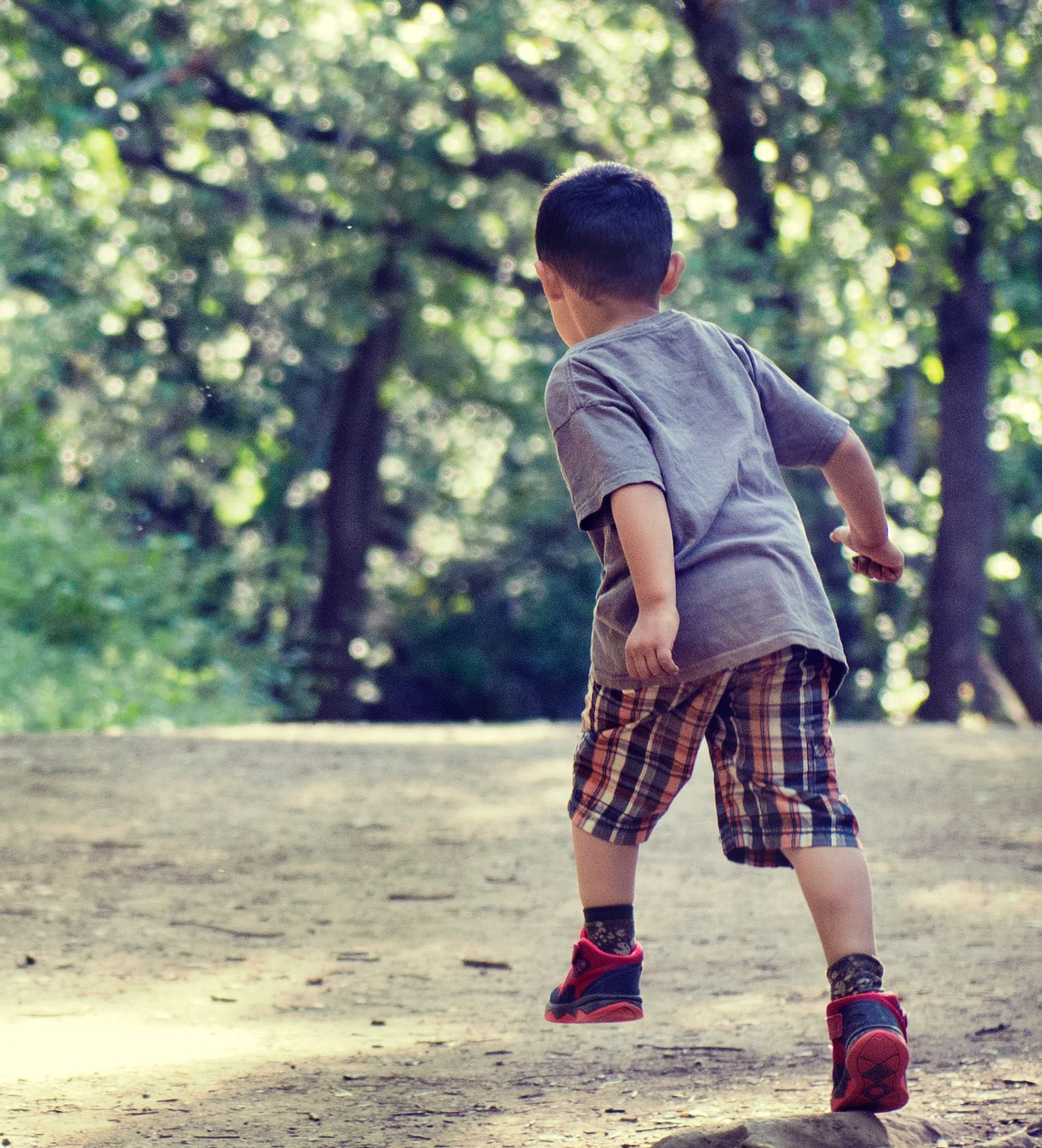 a little boy walking on a dirt trail in the woods