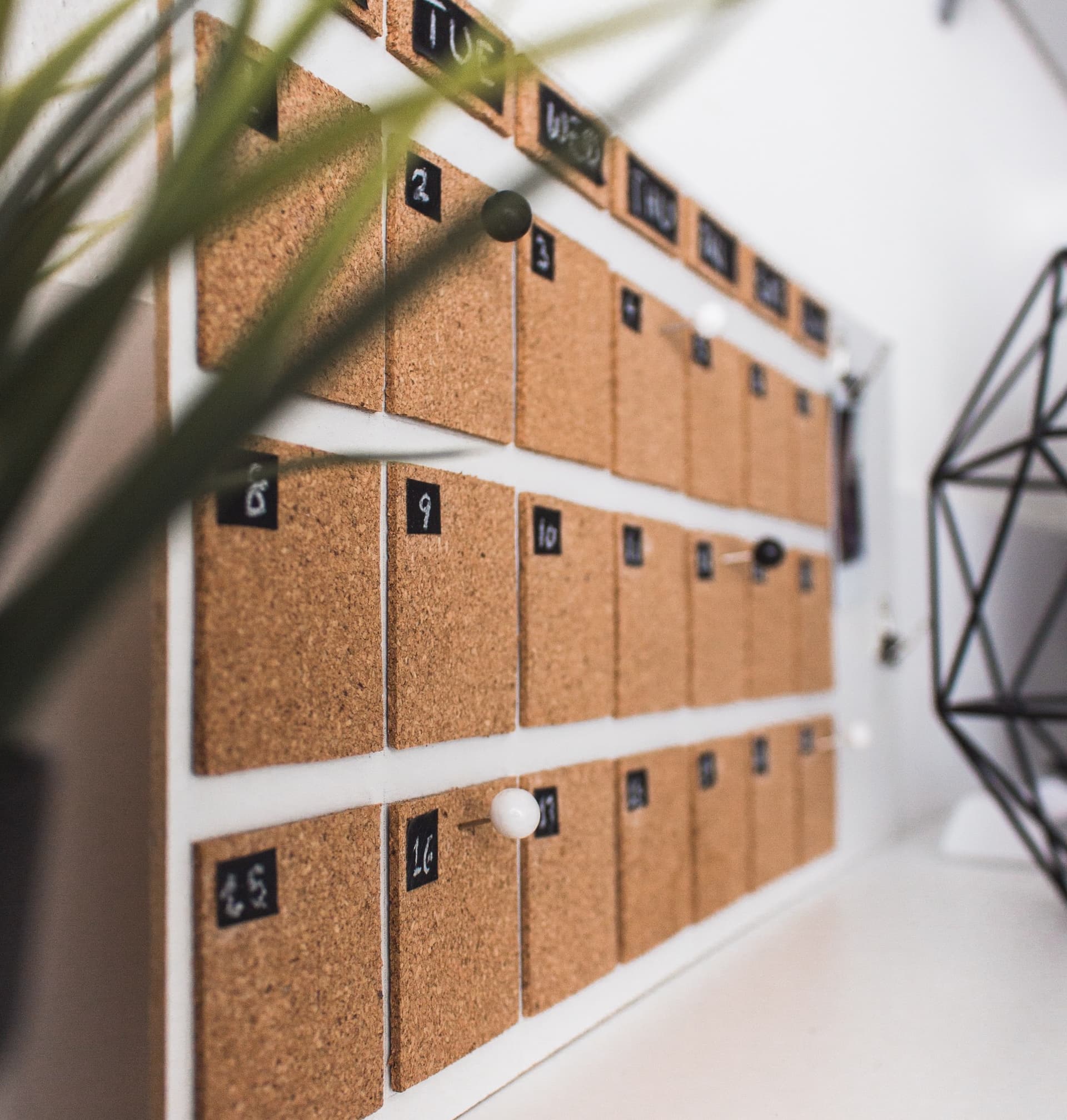 cork calendar sitting on a desk with a plant covering the first edge