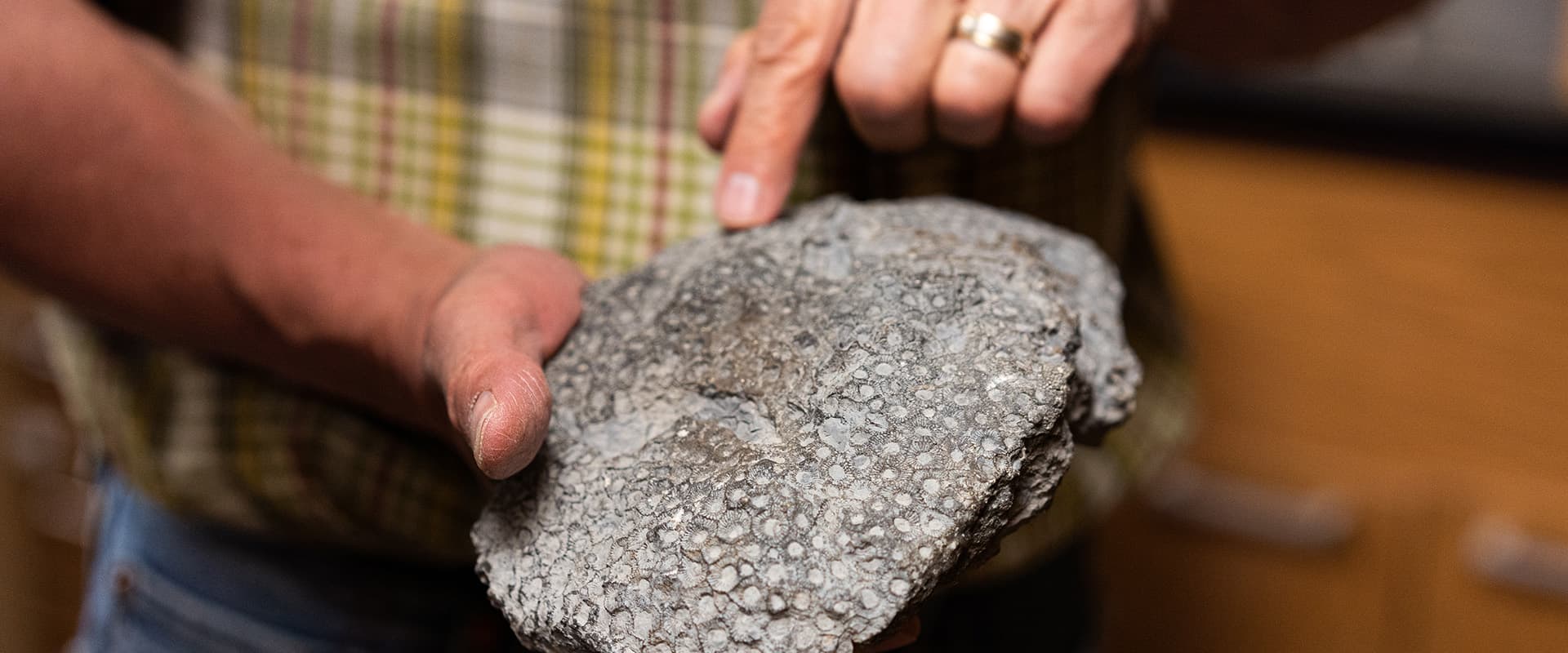 holding fossil rock