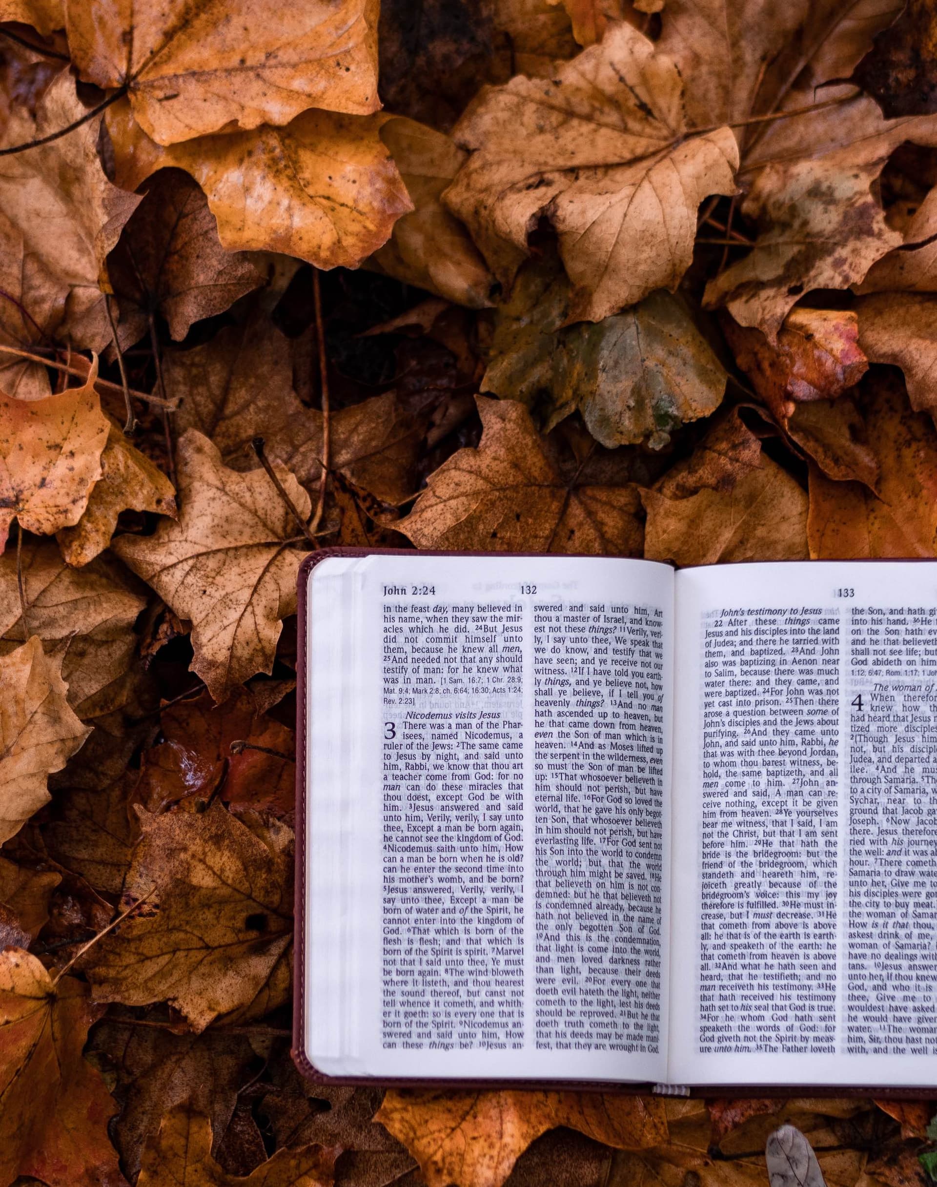 bible open to John on crunchy brown leaves