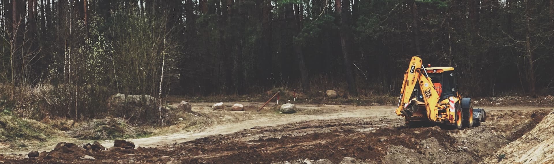 a small bulldozer in a tree