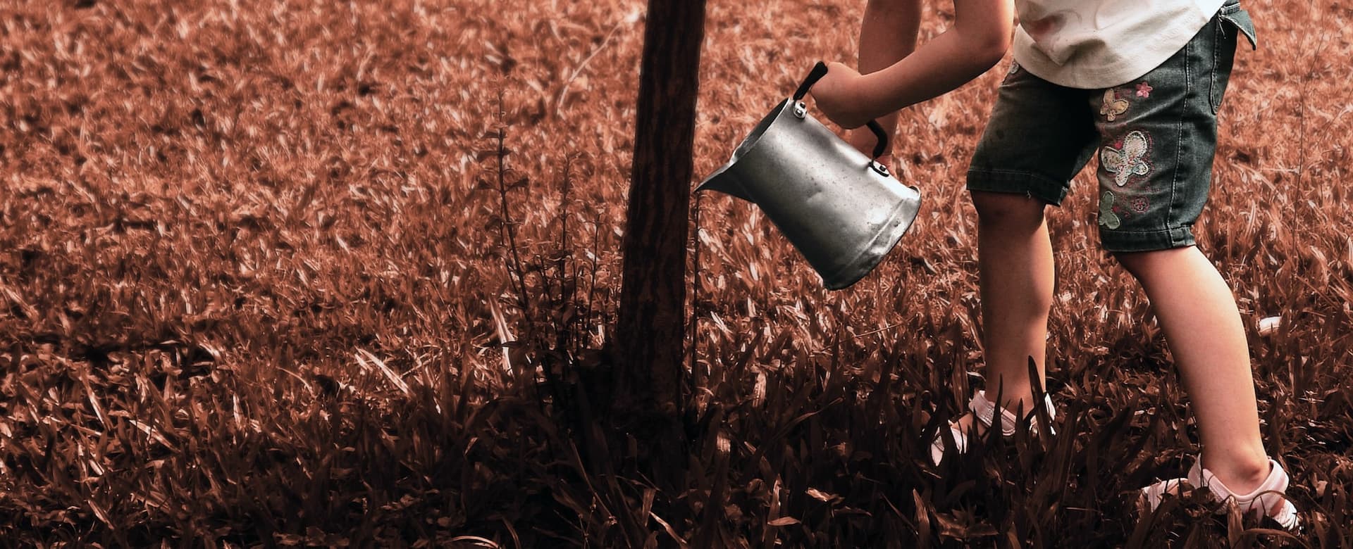 girl watering a tree