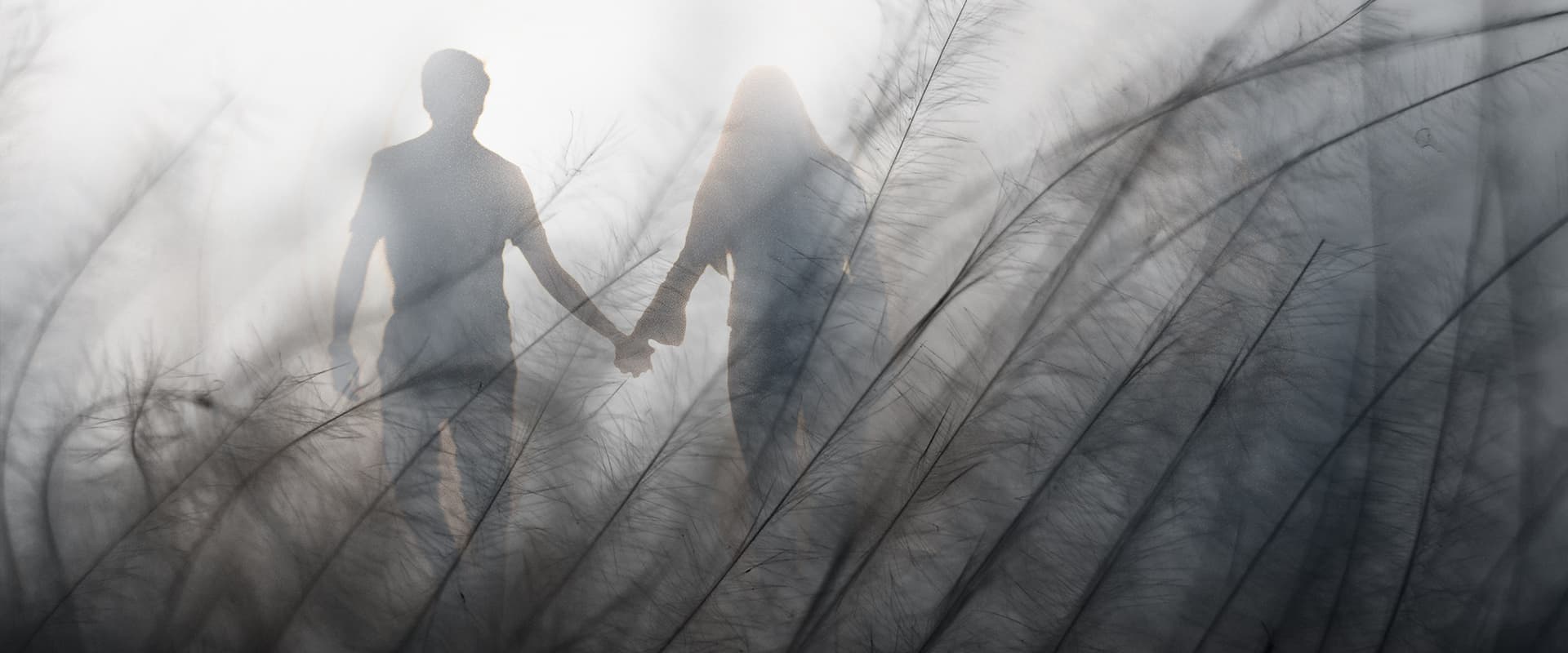 two silhouettes behind abstract plants