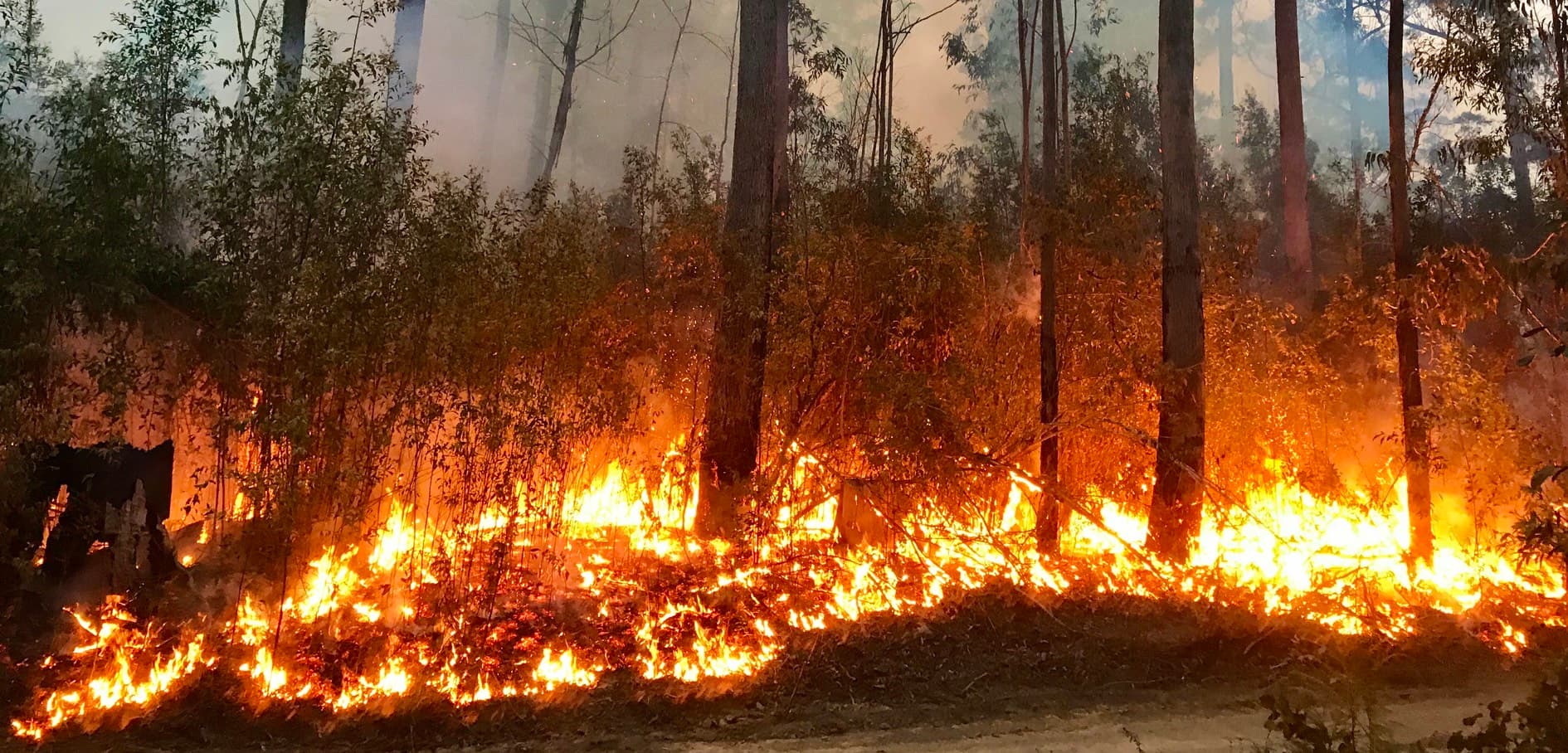 australian bushfires