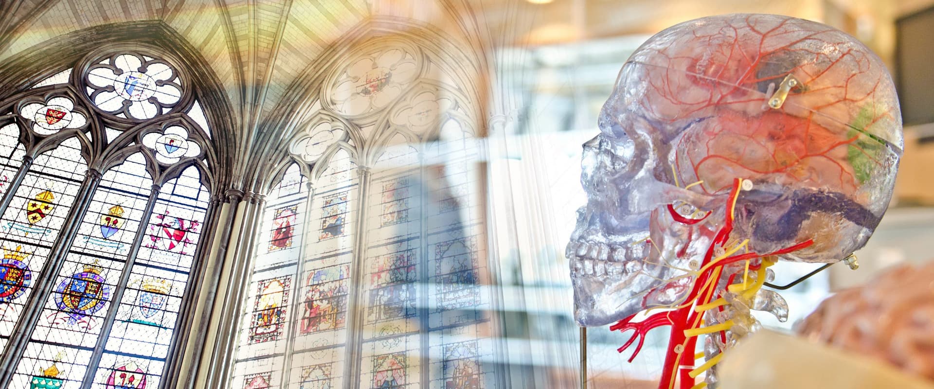 stained glass window blended with picture of brain