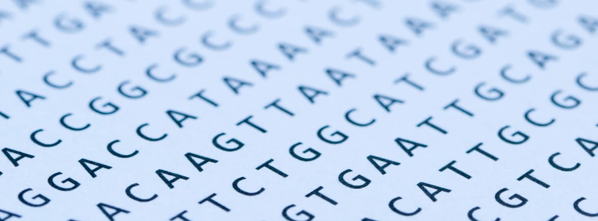 DNA sequence in letters