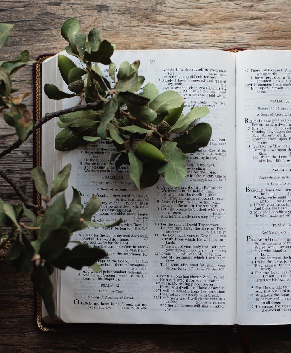 bible open with greenery laying across the pages
