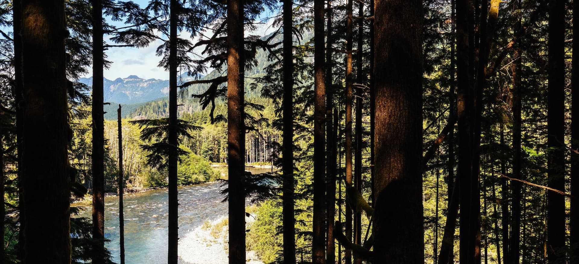 mountains and a river peeking through a forest