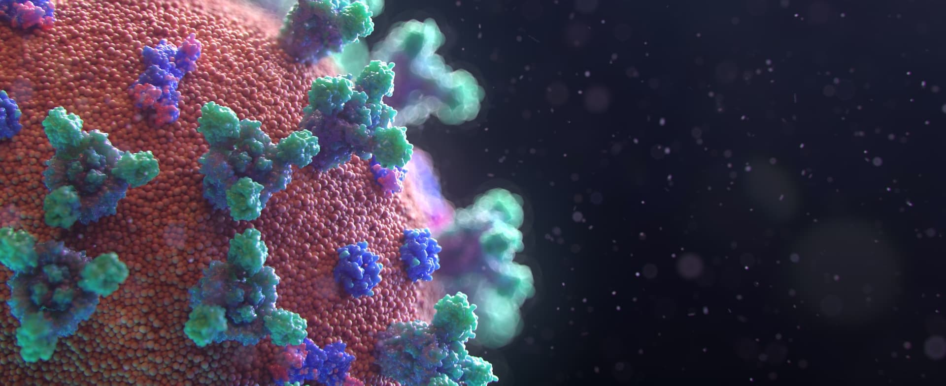 stylized coronavirus cell image