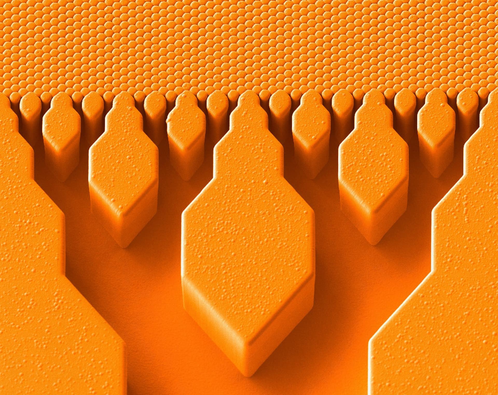 an orange depiction of a branching tree