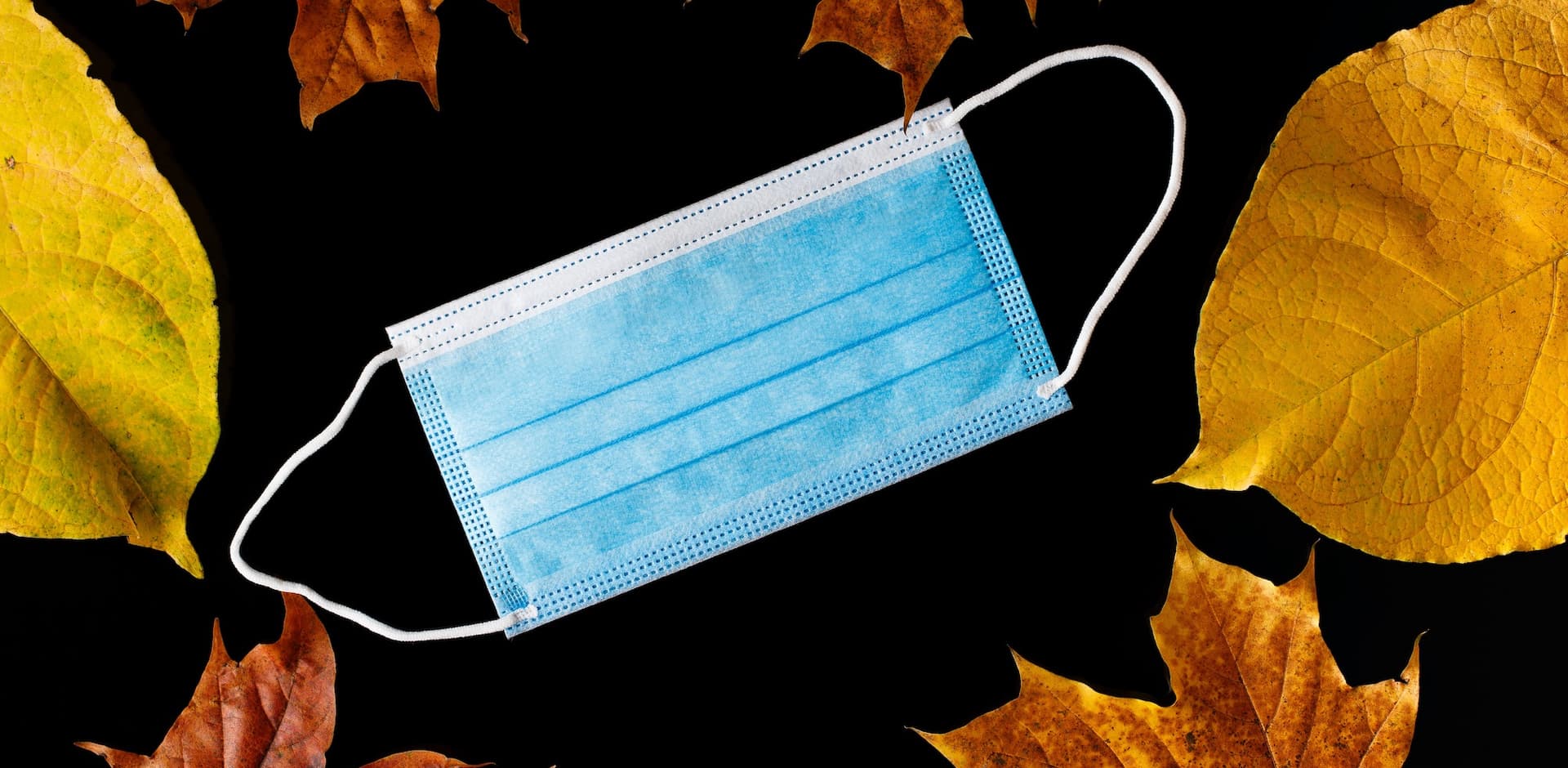 mask surrounded by fall colored leaves