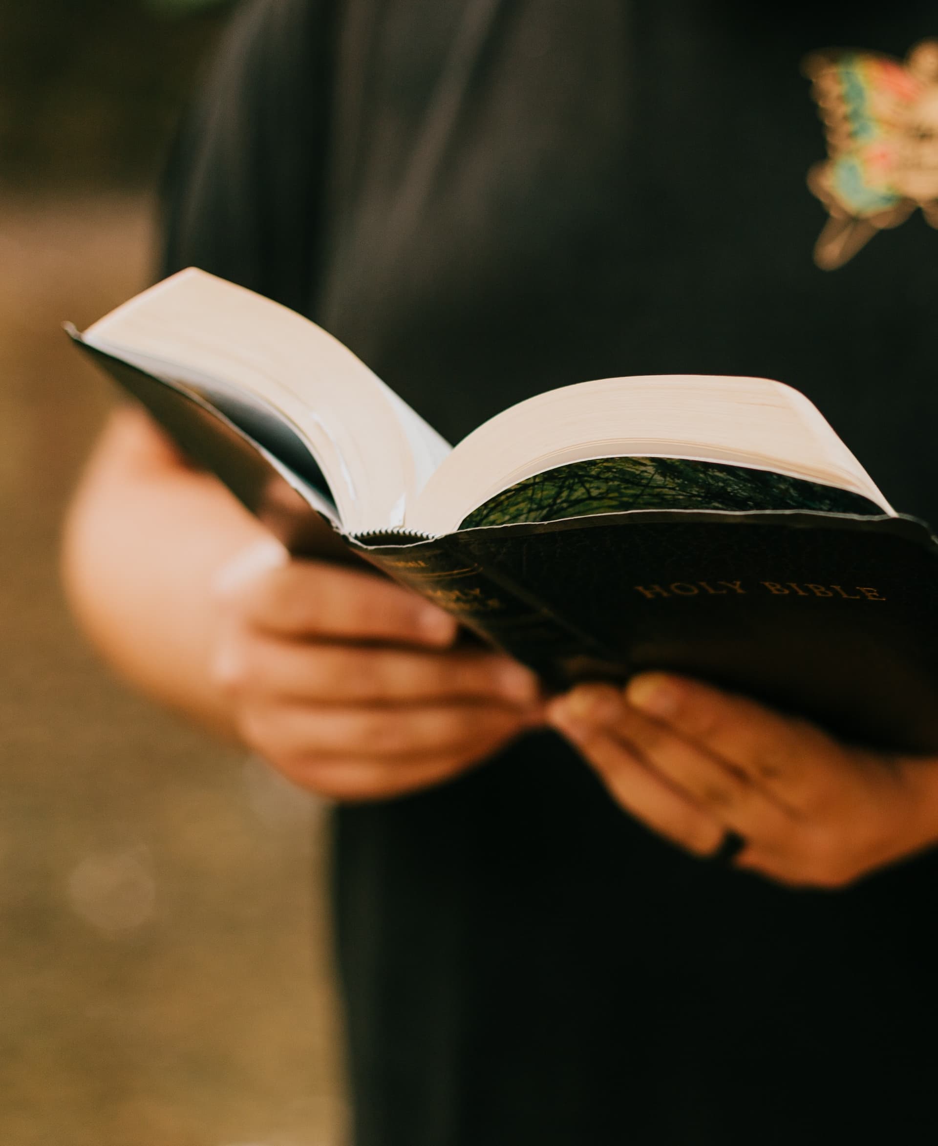 hands holding an open bible