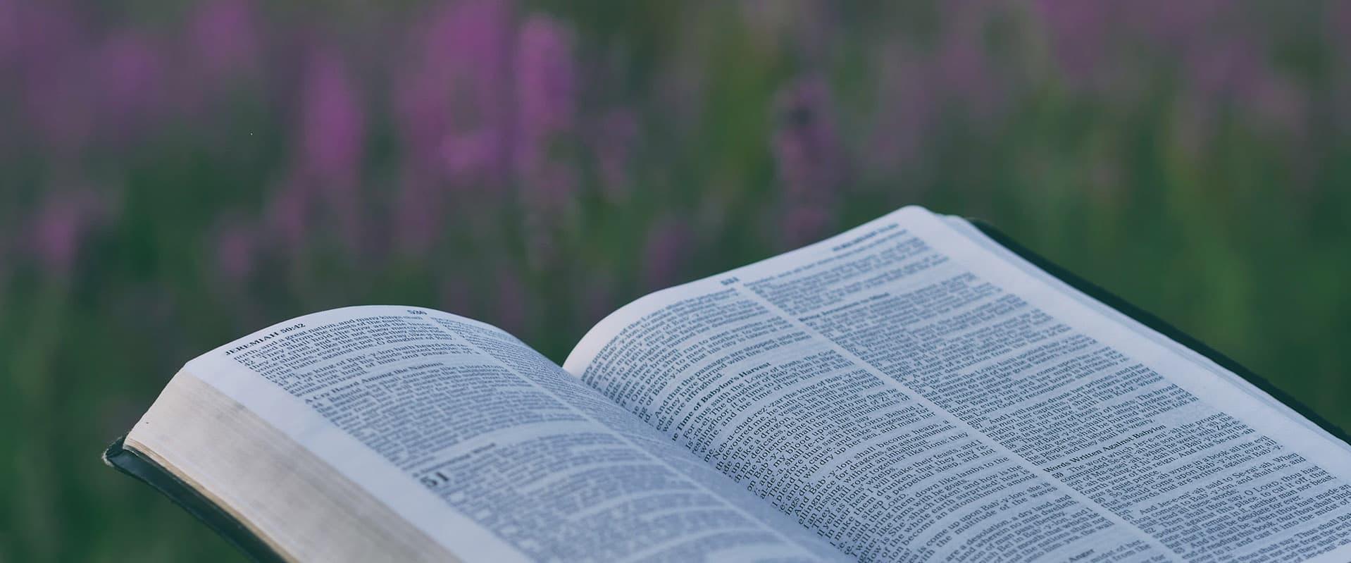 bible with wildflowers in background