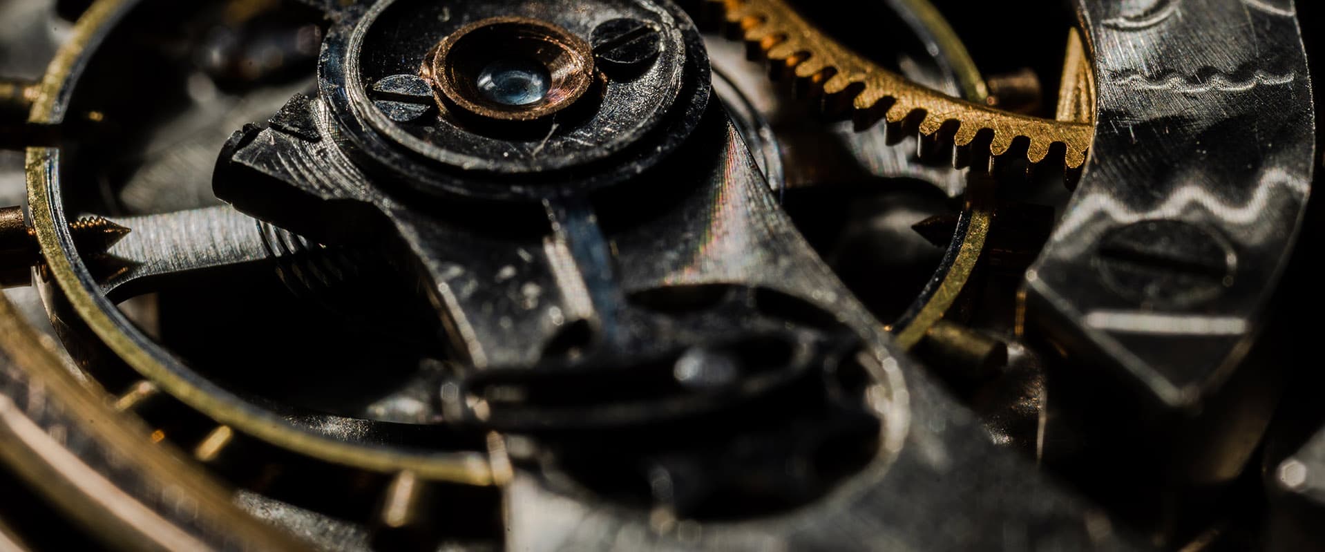 inner workings of a watch