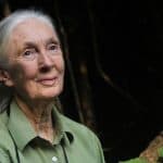 Jane Goodall headshot