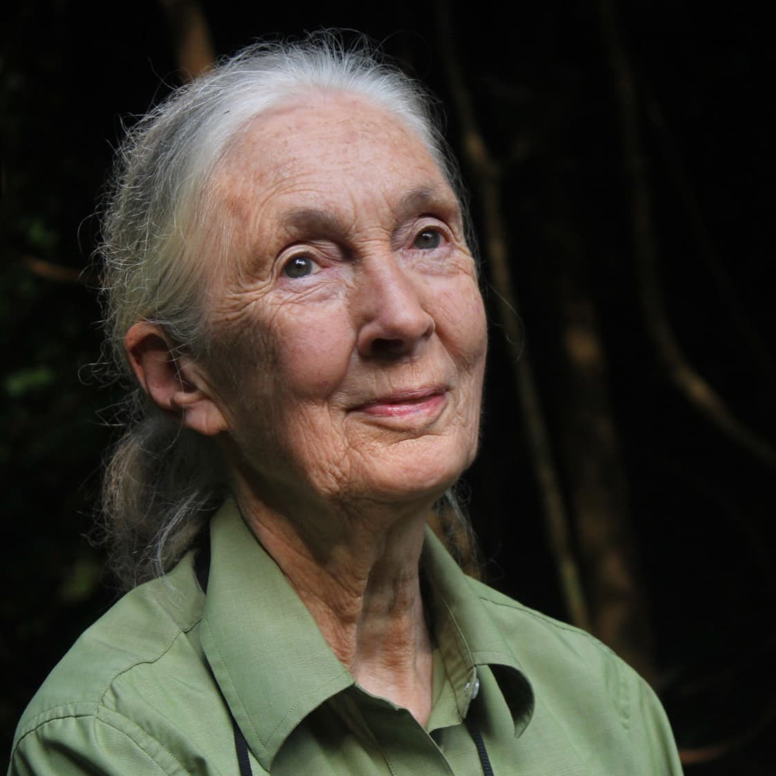 Picture of Jane Goodall