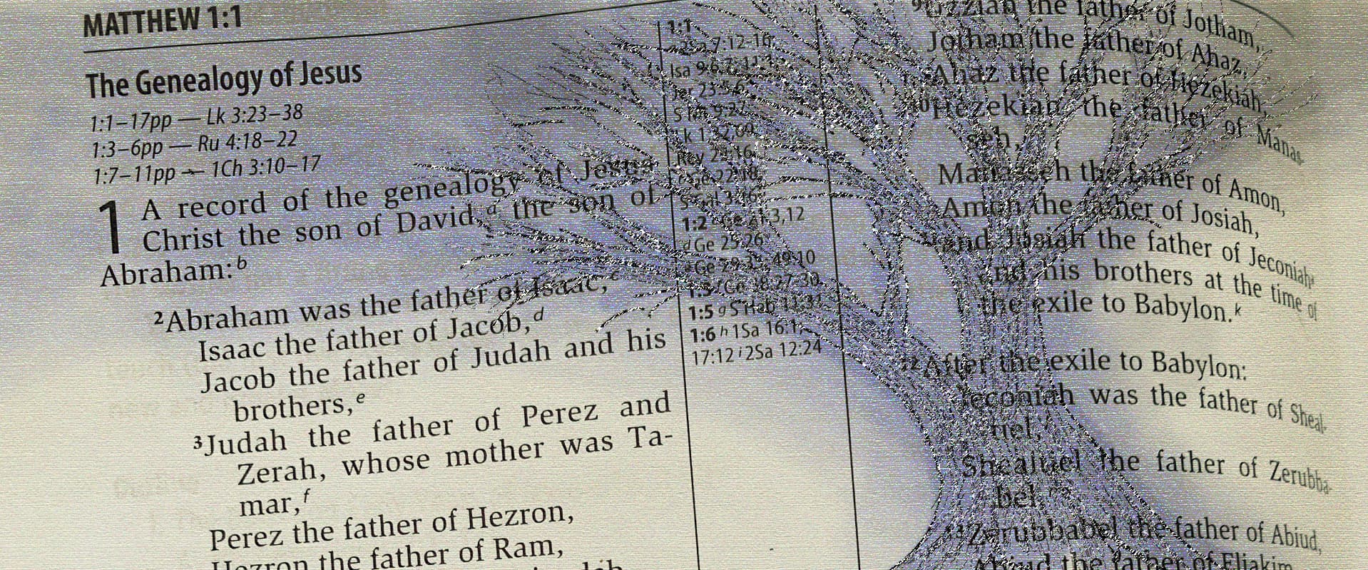 bible genealogy and tree