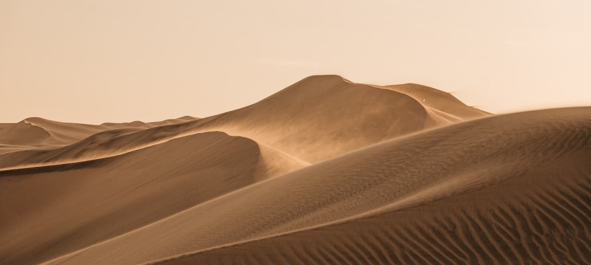 Sand dunes in the desert