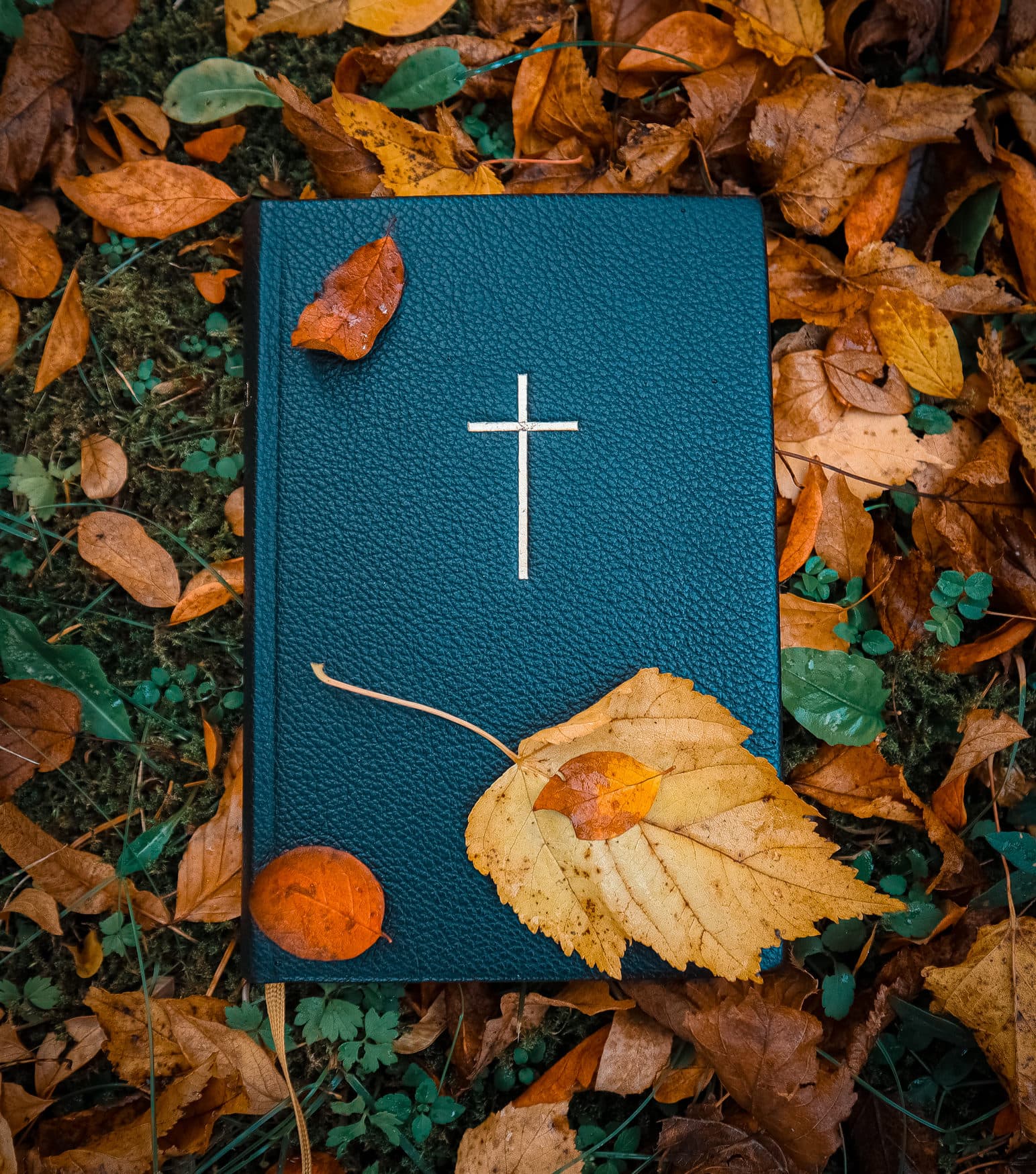 Bible surrounded by fall leaves and grass