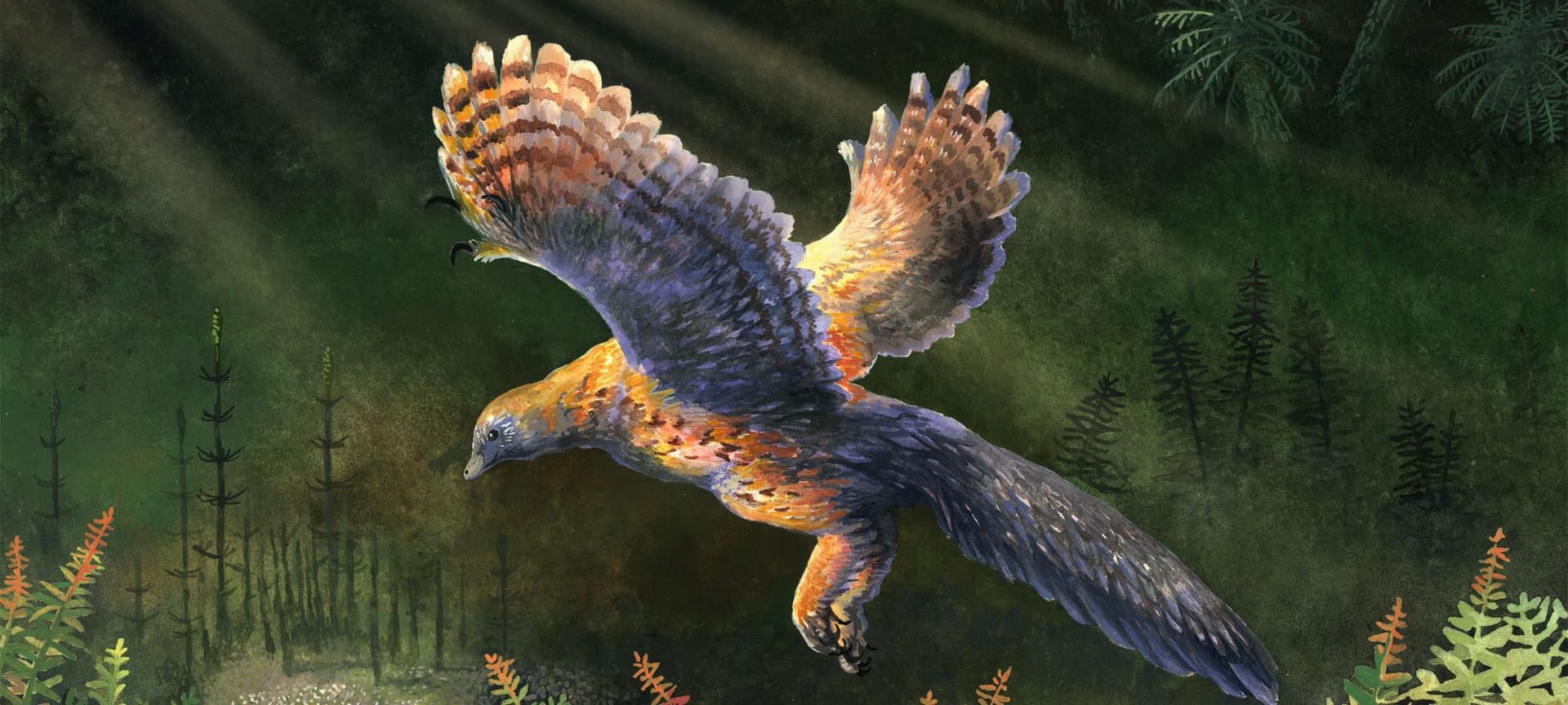 Artist's picturesque depiction of Archeopteryx flying