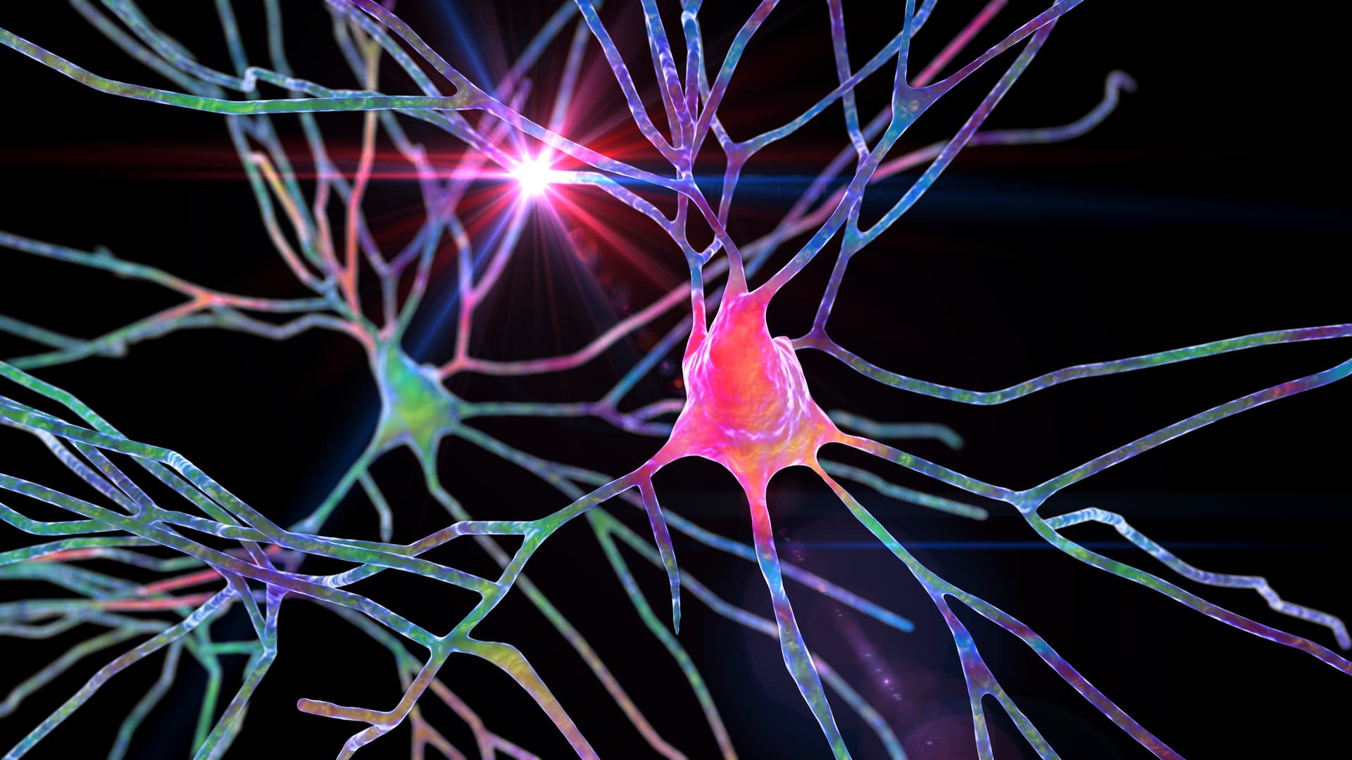 3D illustration of neurons
