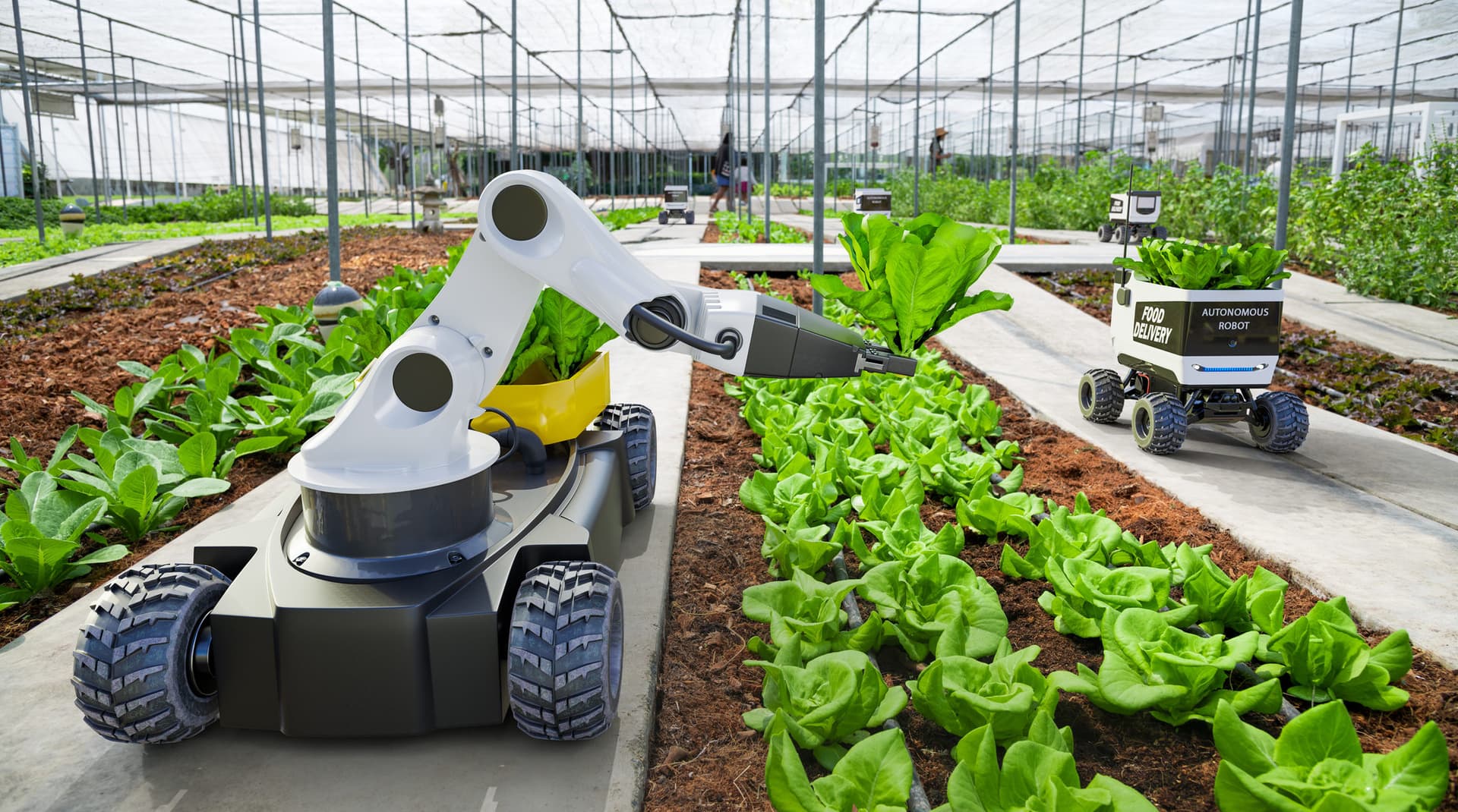 Futuristic smart farm with agricultural robots and autonomous car working on farm