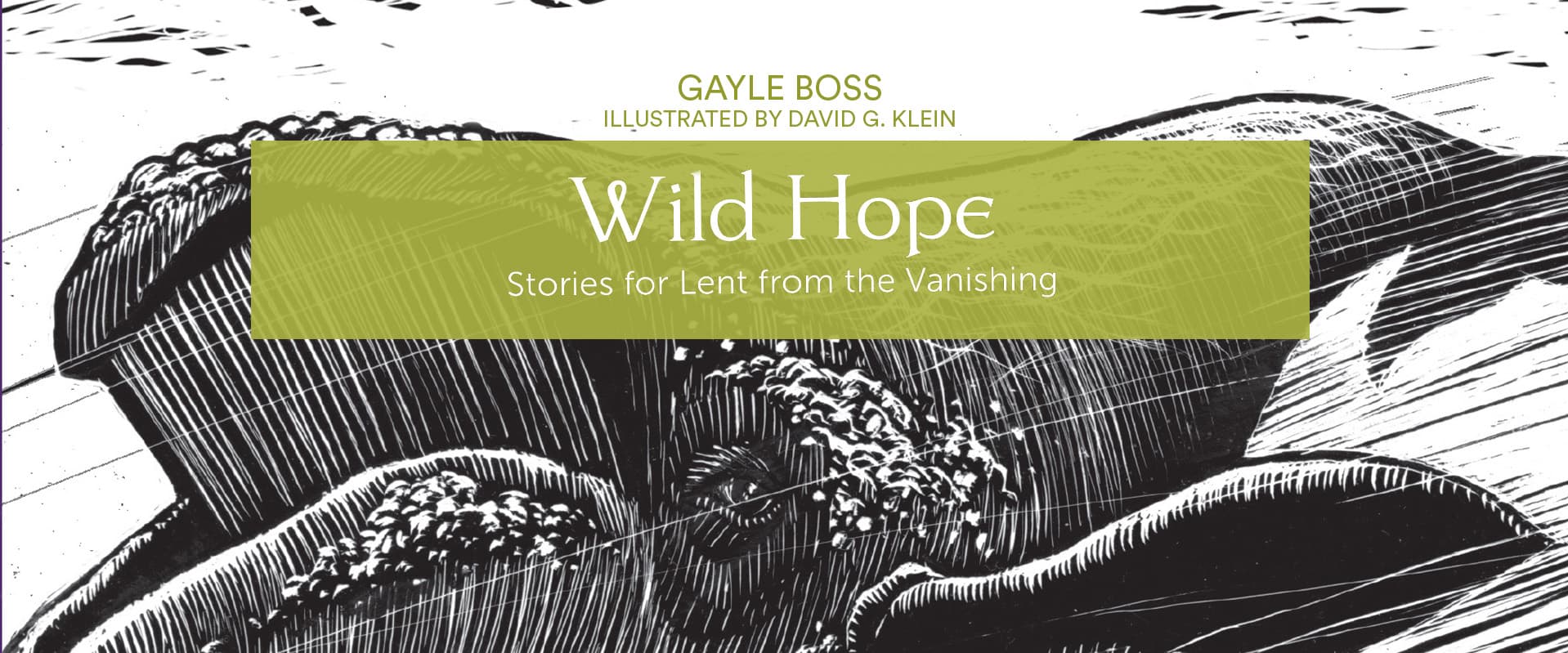 Wild hope cover art