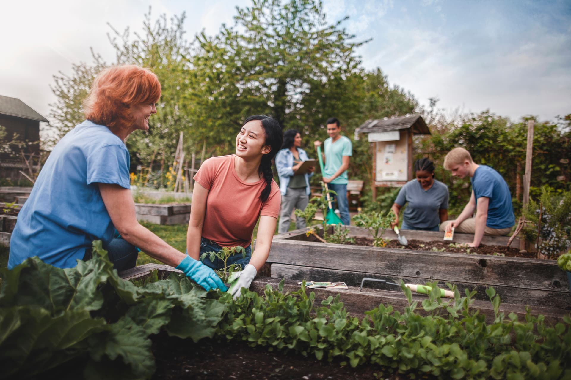 People helping plant community garden