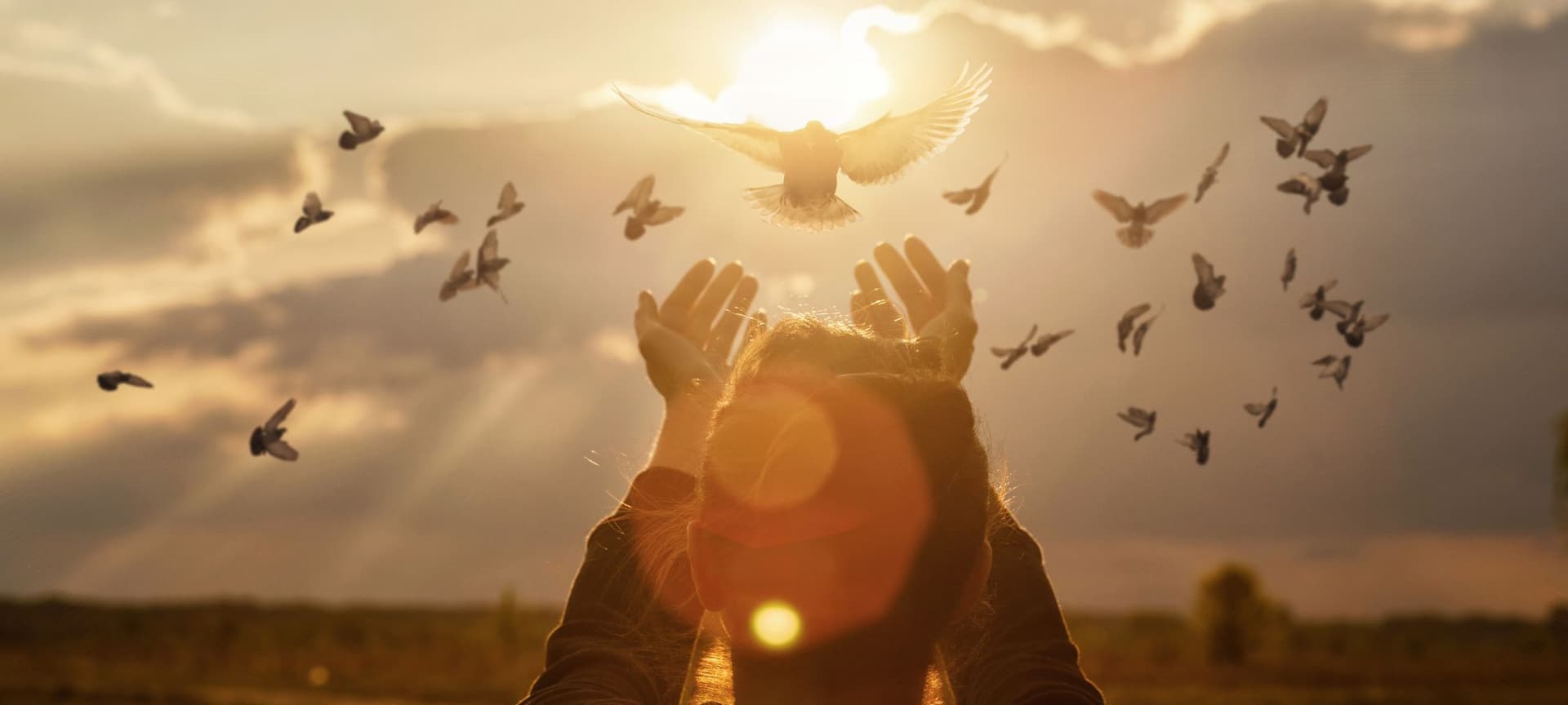 Image of person lifting hands to the sky, and doves hovering above