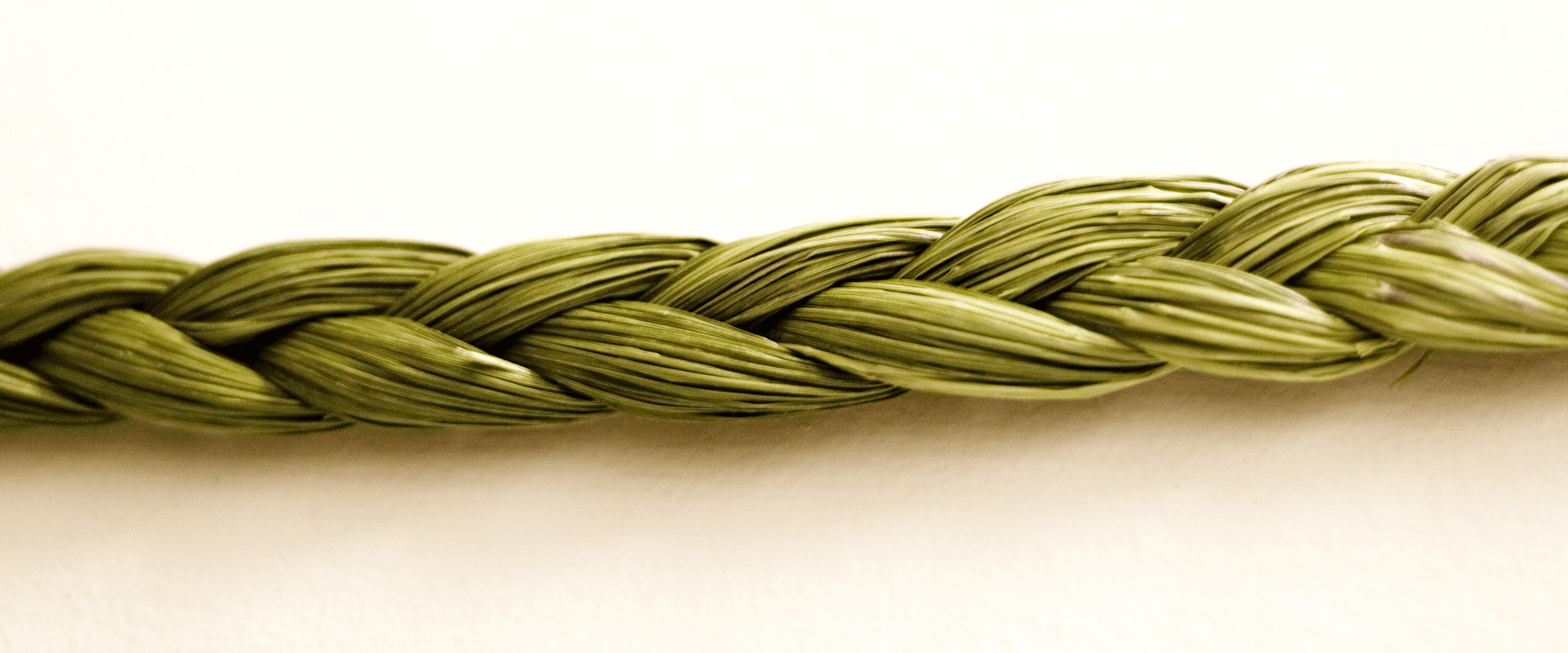 An up close strand of braiding sweetgrass