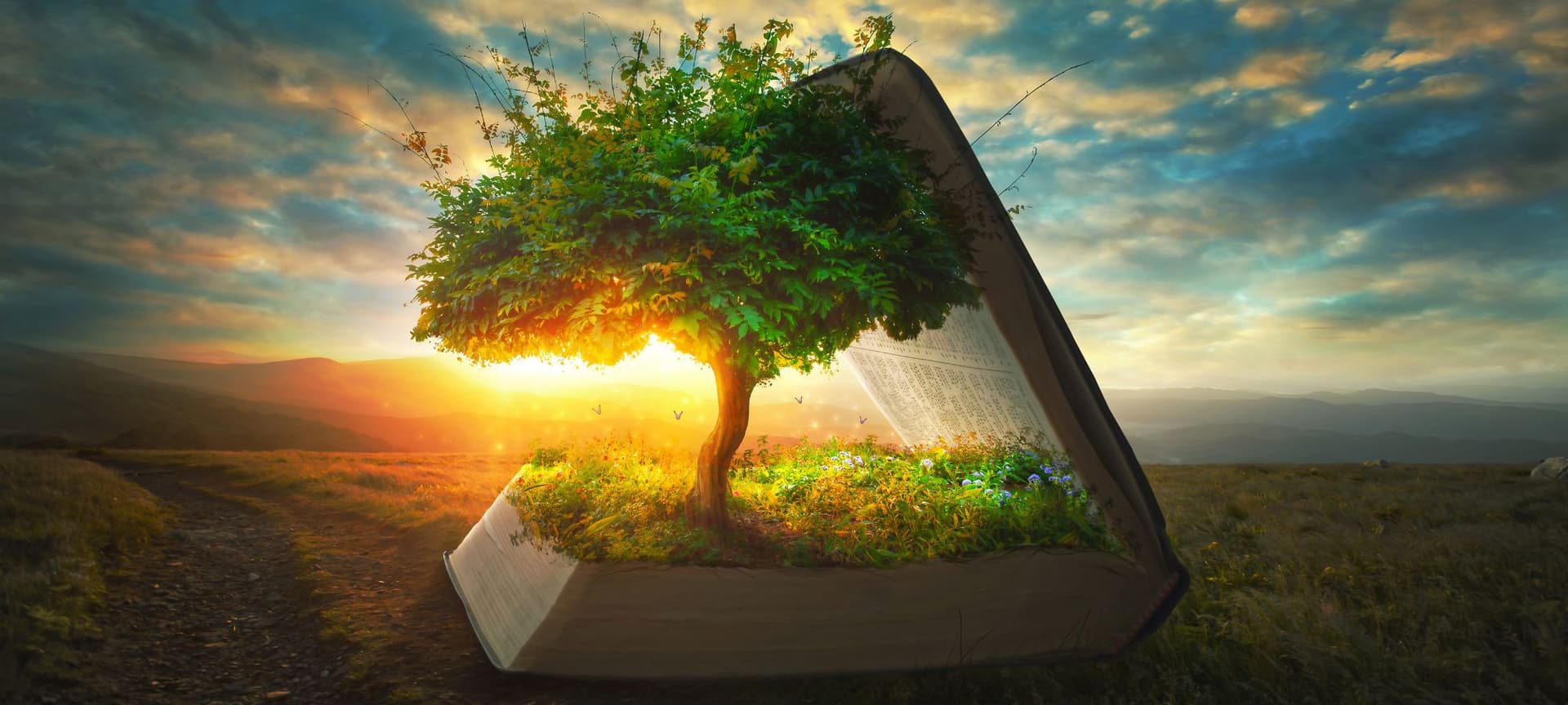 A Bible opening, and one one of the pages there is a tree and lush greenery covering it. The bible is enlarged and surrounded by the beautiful scenery of a sunset sky.