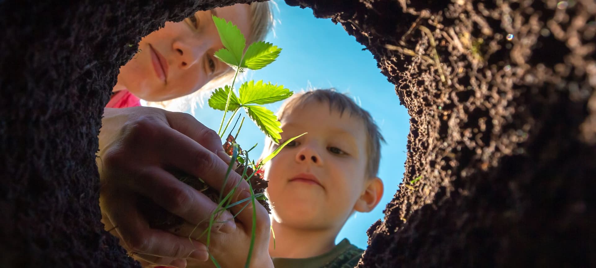 A mom and her young child planting in soil together. The vantage point is looking upwards from under the soil.