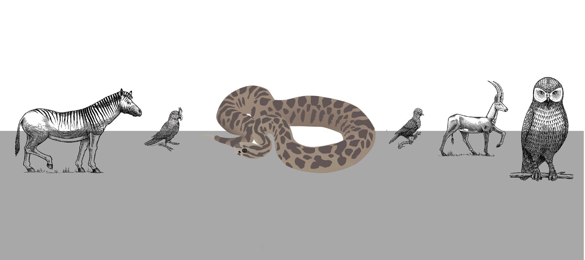 drawings of extinct creatures and with Eastern massasauga rattlesnake in the middle