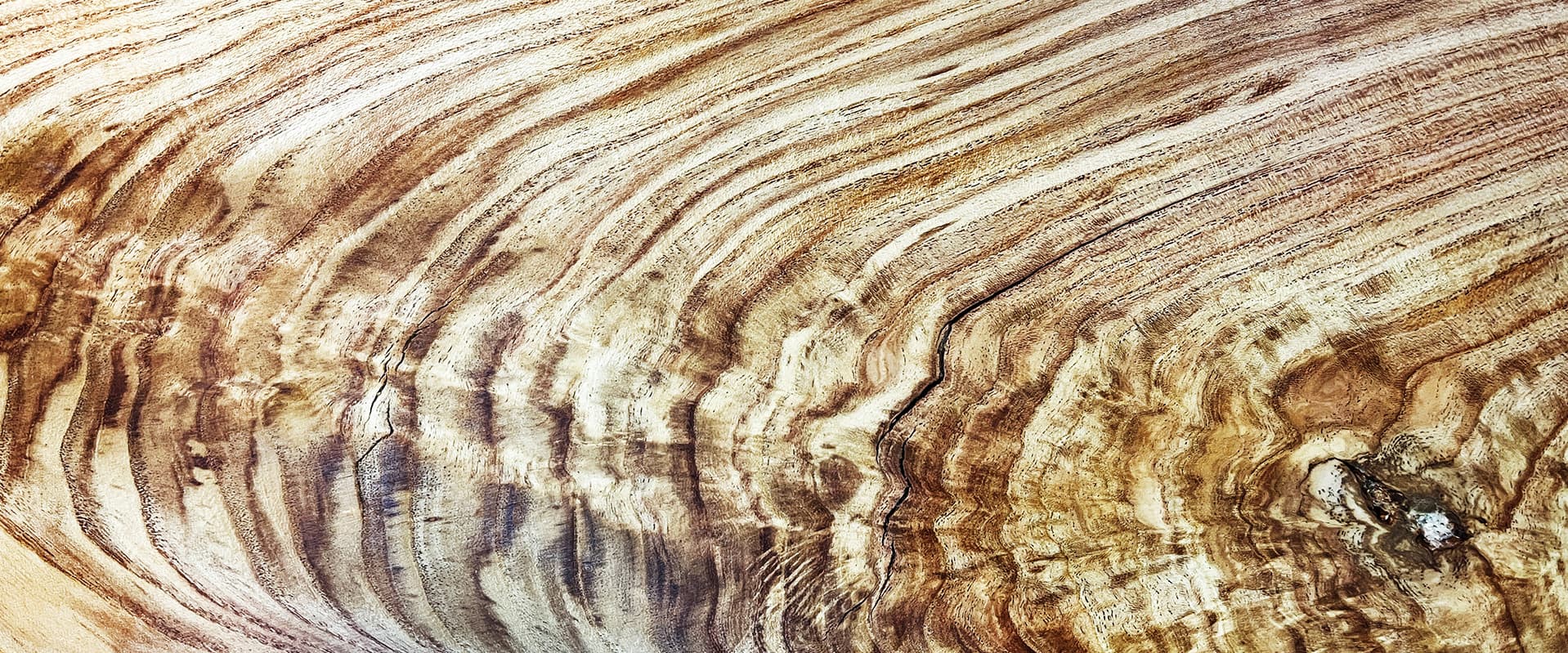 close up of wood grain