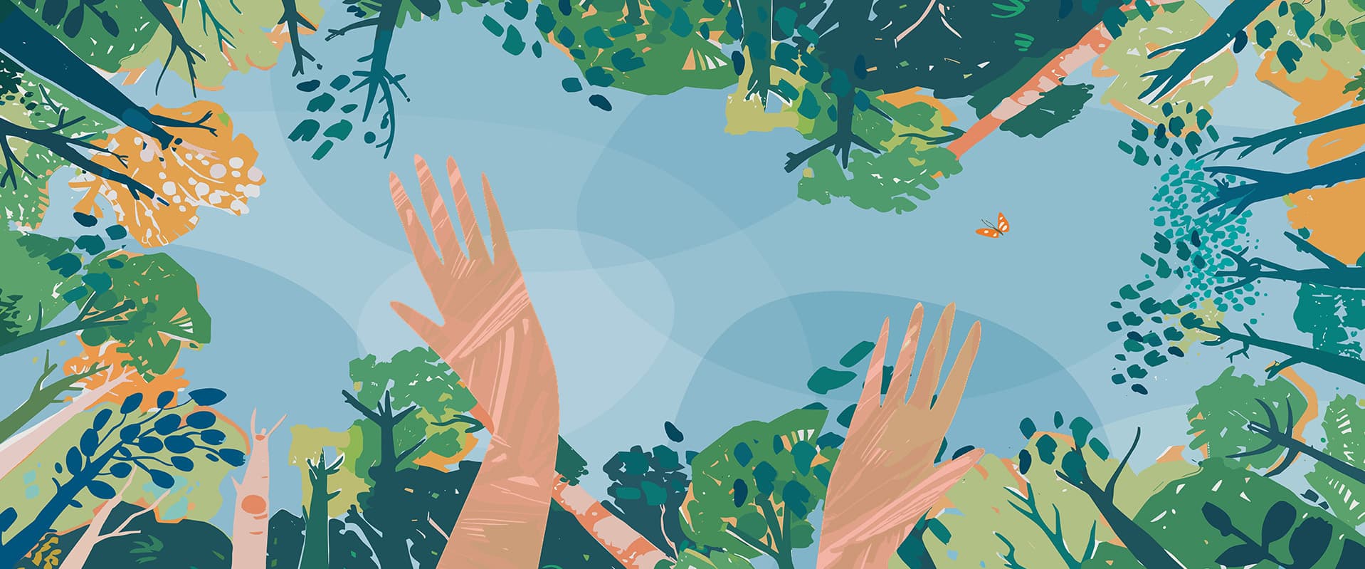 Illustration of hands and canopy with trees