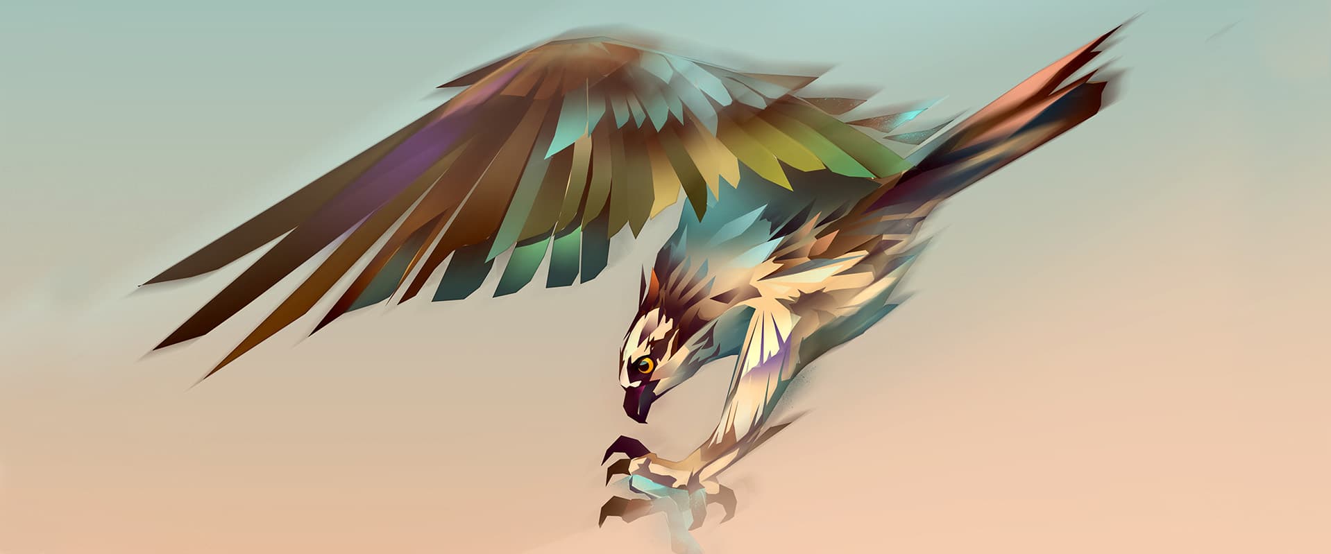 Illustration of osprey flying