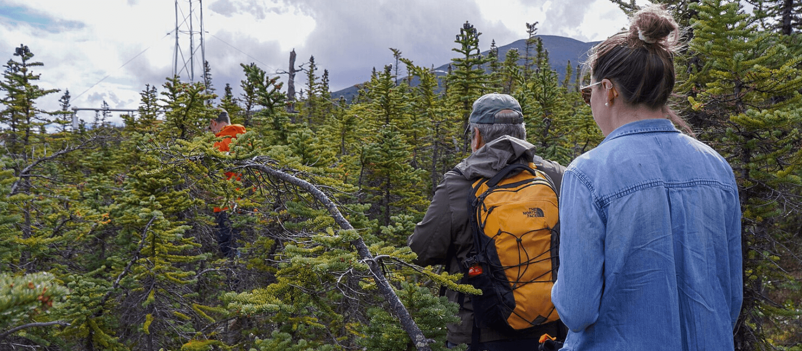 Two scientists walk through a forested area of the Wolf Creek Research Basin